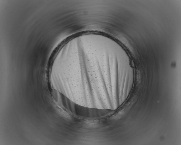 X0000094201068200711241632