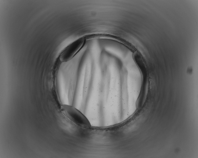 X0000094201069200711241632