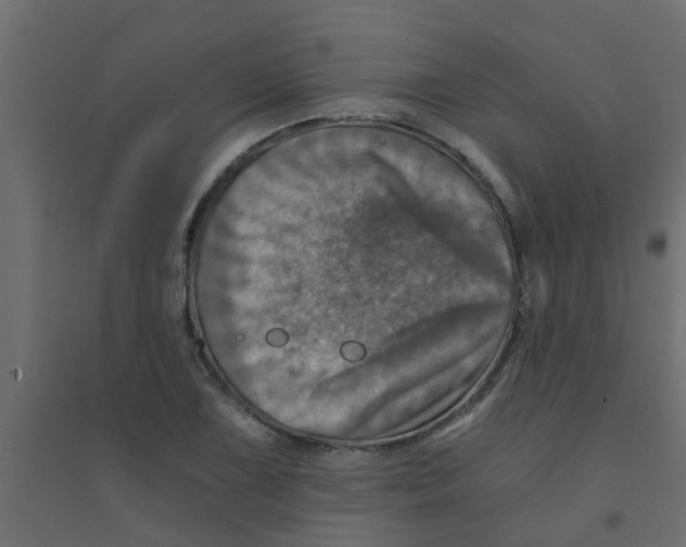 X0000094201075200711241632
