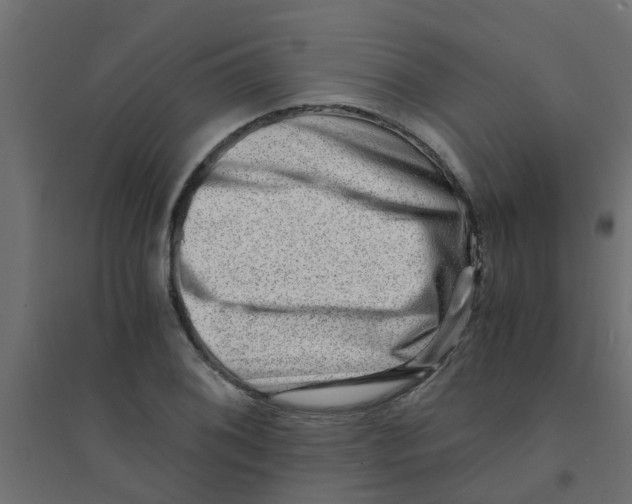 X0000094201076200711241632