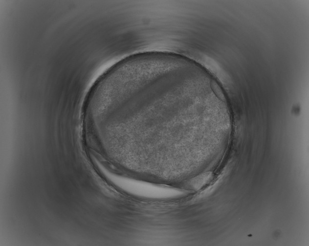 X0000094201077200711241632