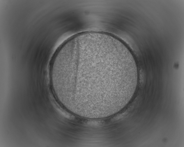 X0000094201078200711241632