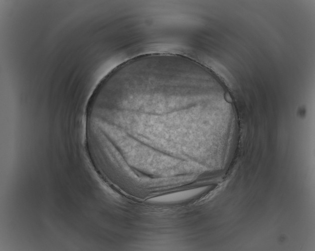 X0000094201079200711241632