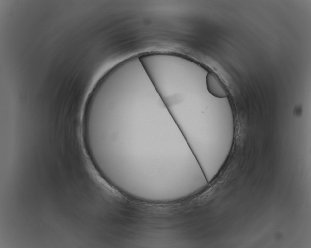 X0000094201080200711241632