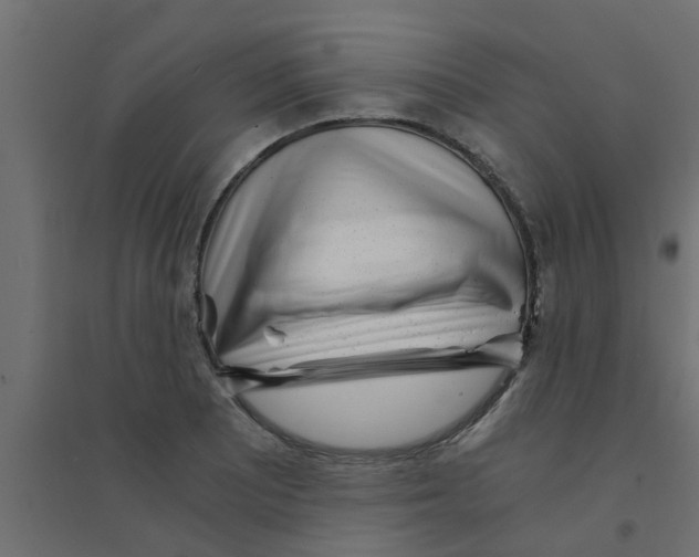 X0000094201081200711241632