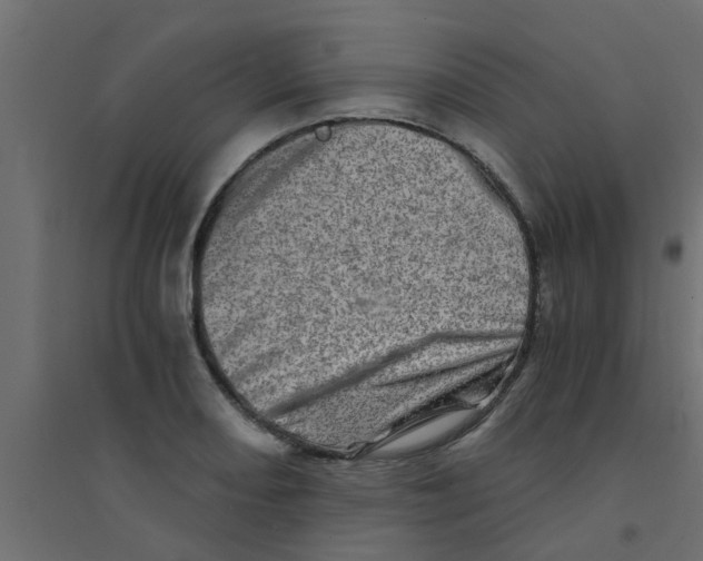 X0000094201082200711241632