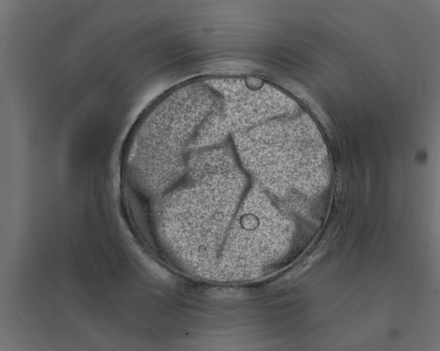 X0000094201083200711241632