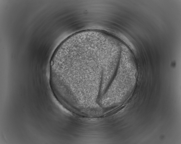 X0000094201084200711241632