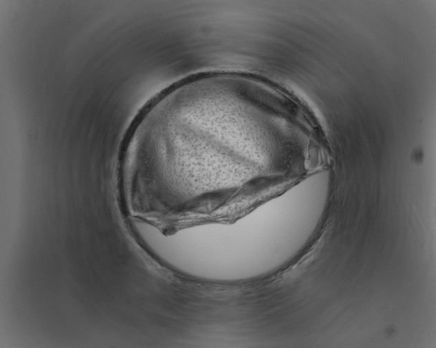 X0000094201085200711241632
