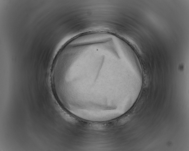 X0000094201086200711241632