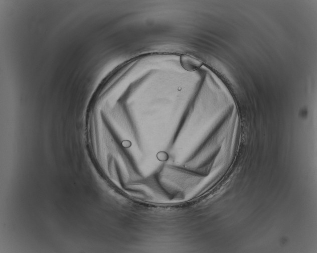 X0000094201087200711241632