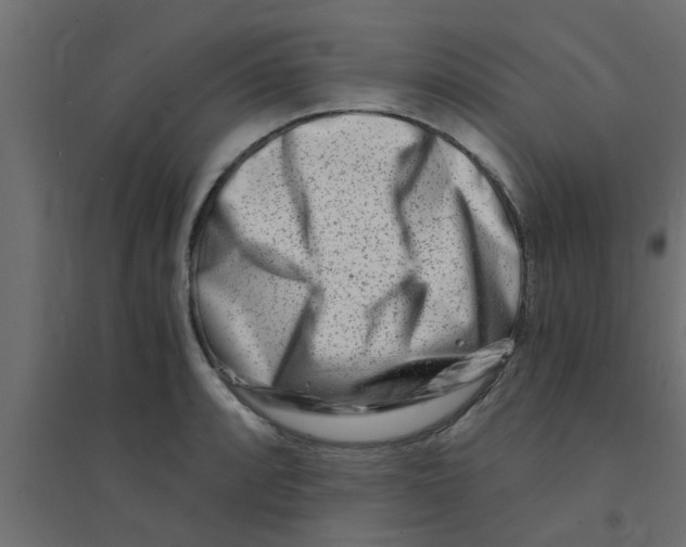 X0000094201088200711241632