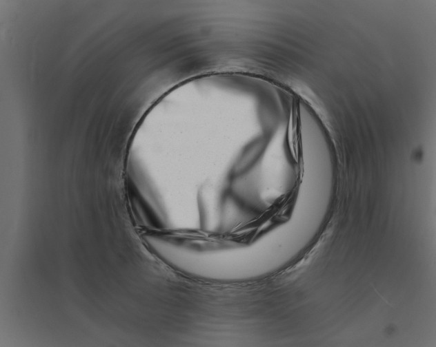 X0000094201089200711241632