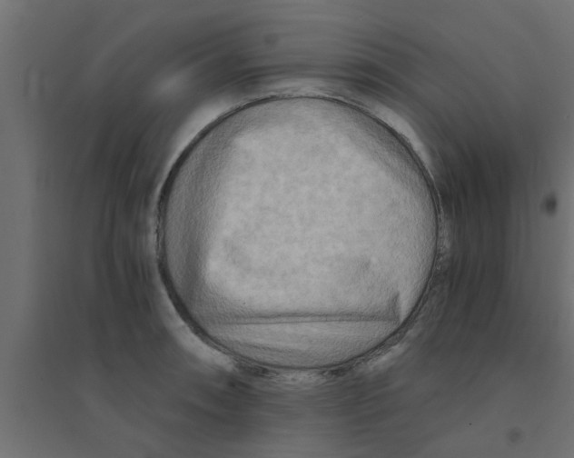 X0000094201090200711241632
