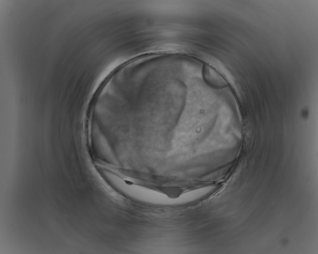 X0000094201091200711241632