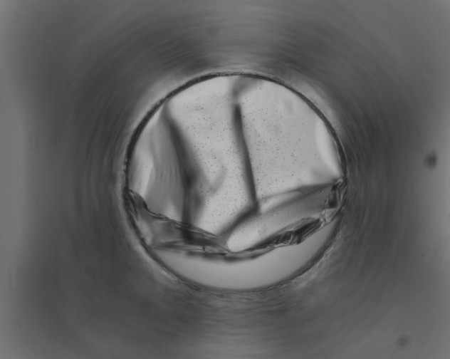 X0000094201093200711241632