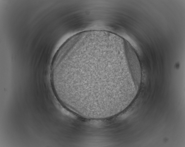 X0000094201094200711241632