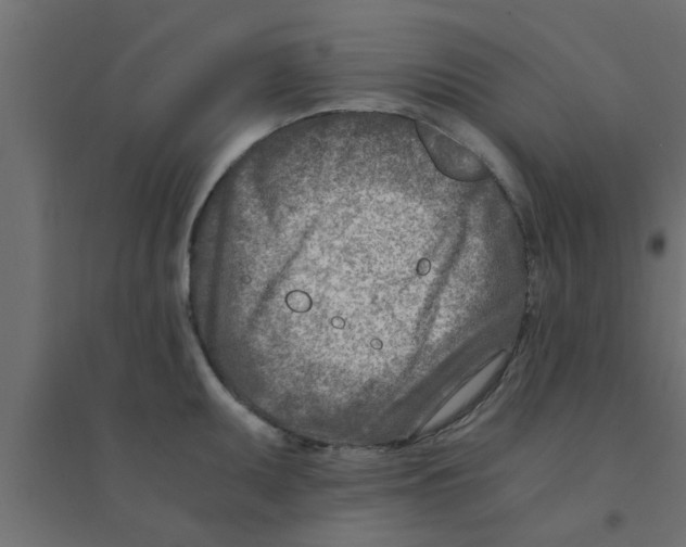 X0000094201095200711241632