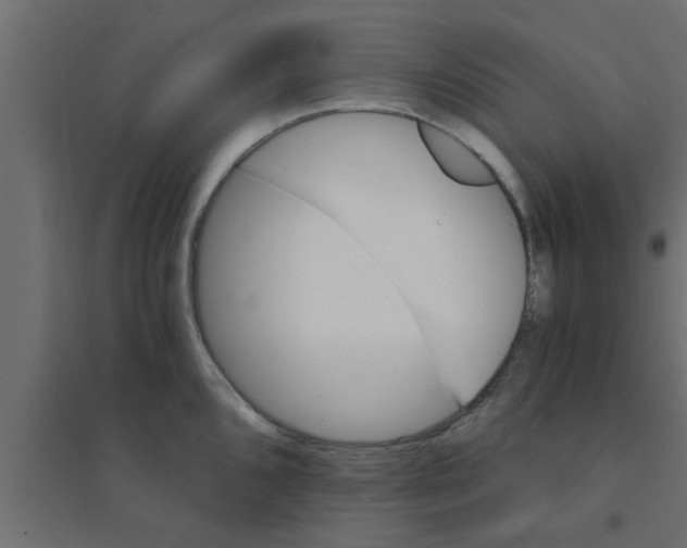 X0000094201096200711241632