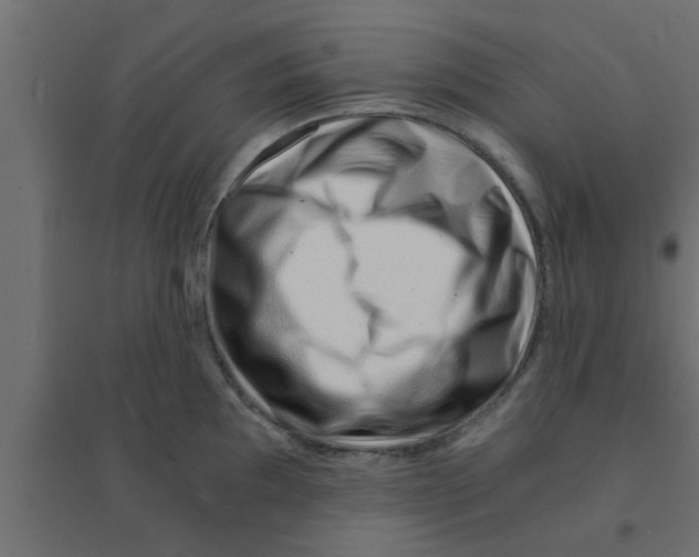 X0000094201097200711241632