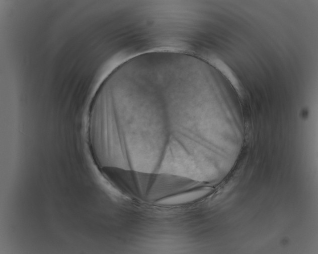 X0000094201099200711241632