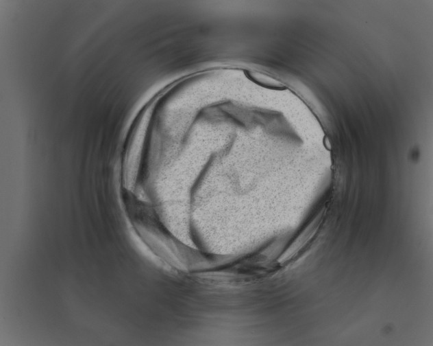 X0000094201100200711241632