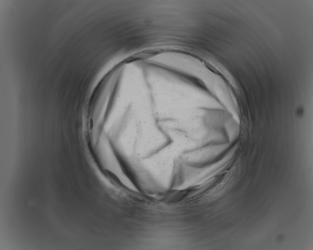X0000094201101200711241632