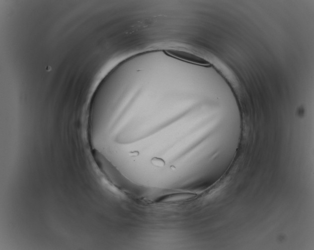 X0000094201102200711241632