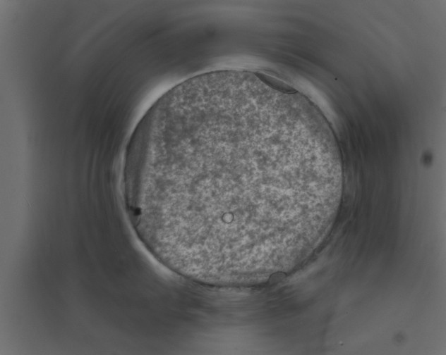 X0000094201103200711241632