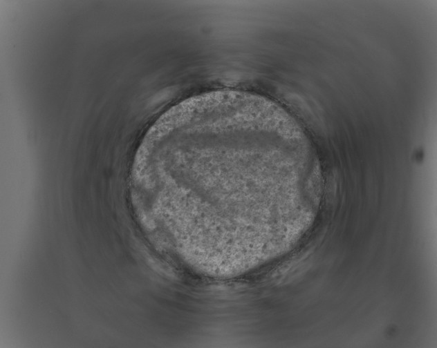 X0000094201105200711241631