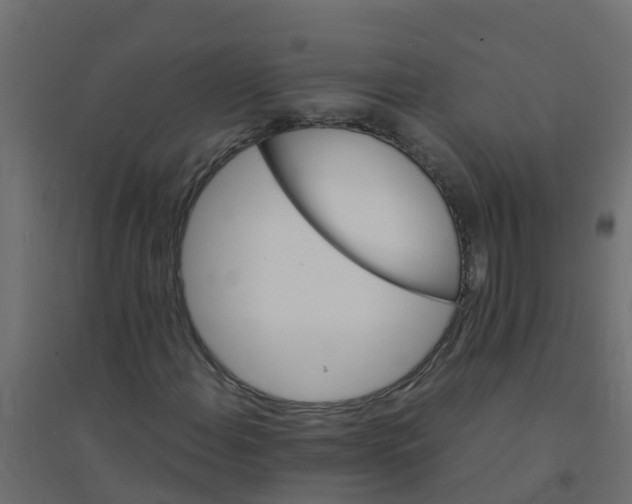 X0000094201108200711241631