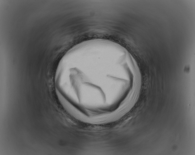 X0000094201109200711241631