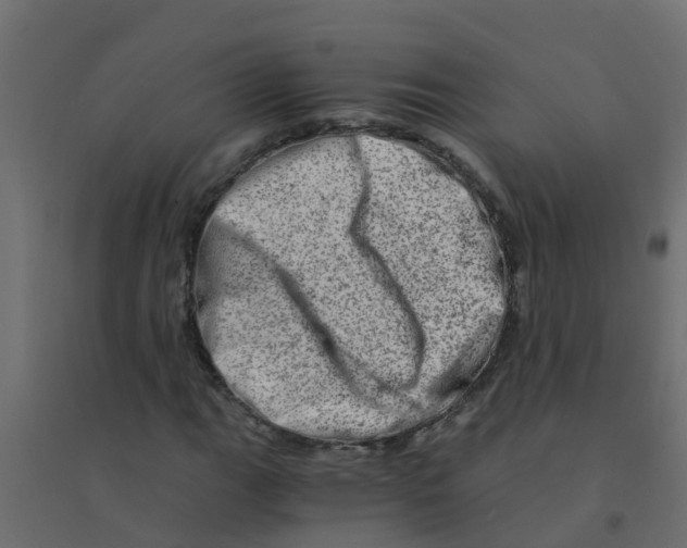 X0000094201111200711241631