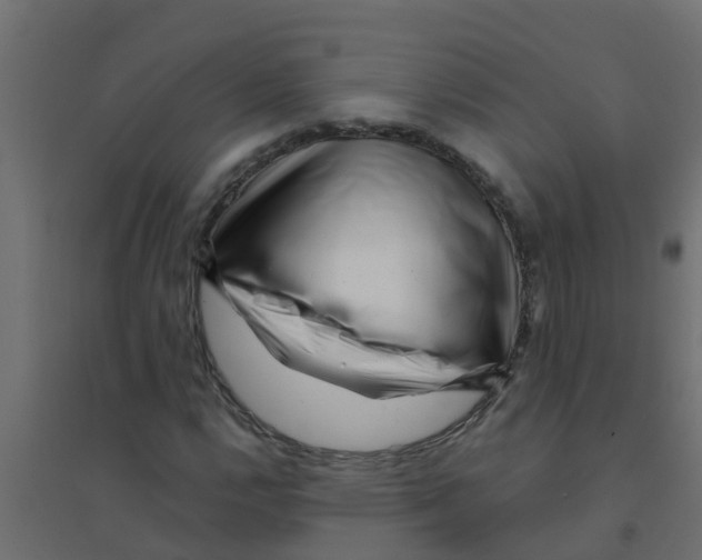X0000094201112200711241631