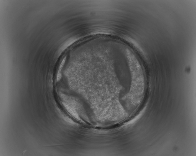 X0000094201113200711241631