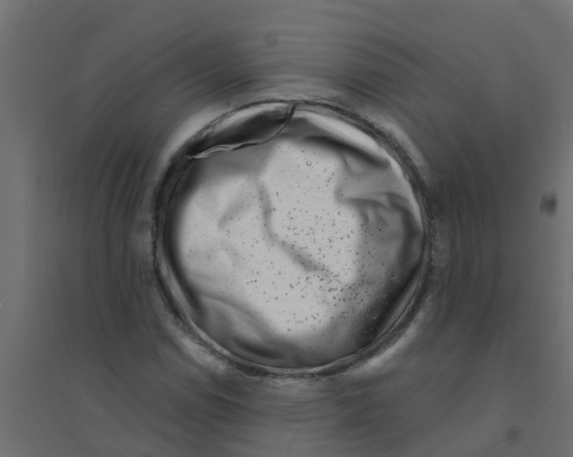 X0000094201114200711241631