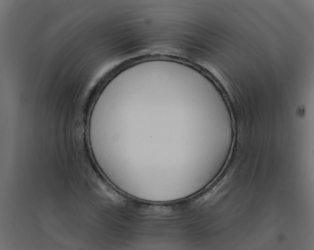 X0000094201115200711241631