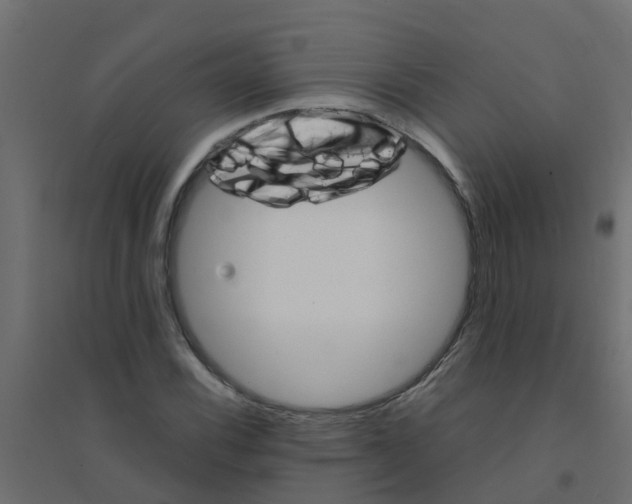 X0000094201116200711241631