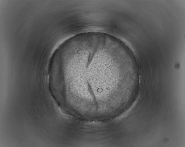 X0000094201117200711241631