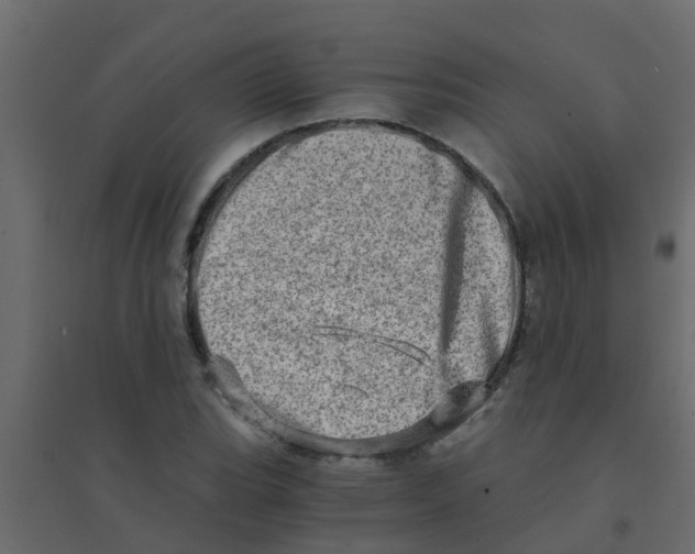 X0000094201119200711241631