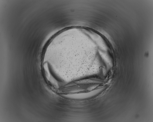 X0000094201120200711241631