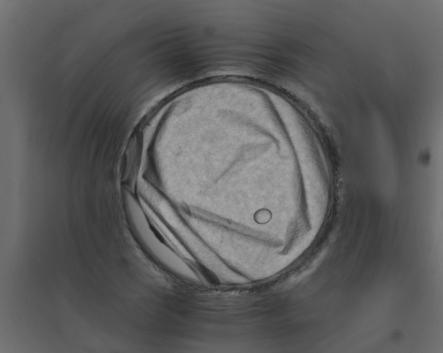 X0000094201121200711241631