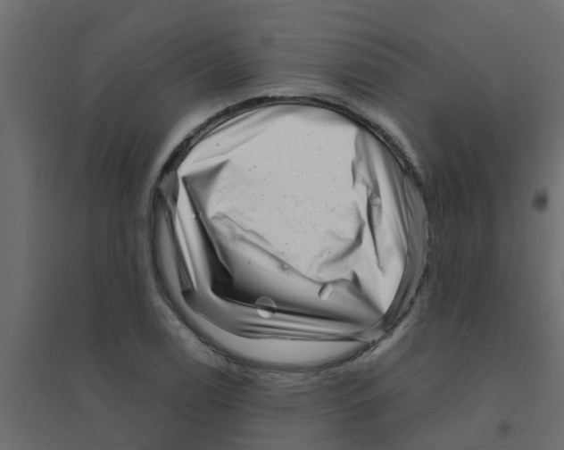 X0000094201122200711241631