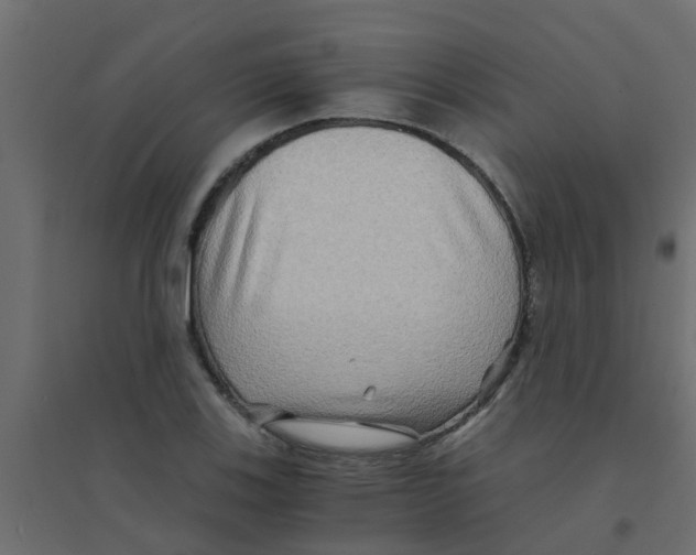 X0000094201123200711241631