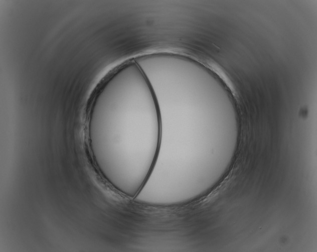 X0000094201124200711241631