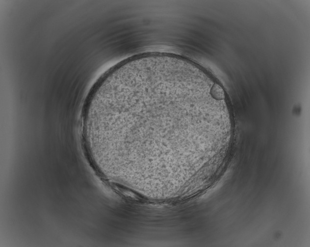 X0000094201125200711241631