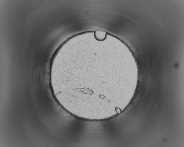 X0000094201126200711241631
