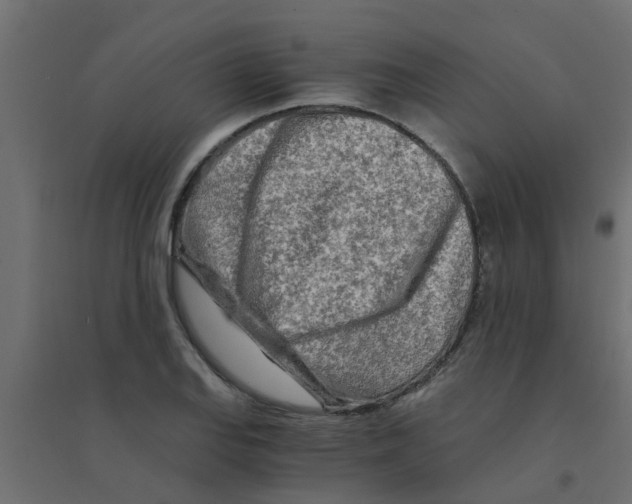 X0000094201127200711241631