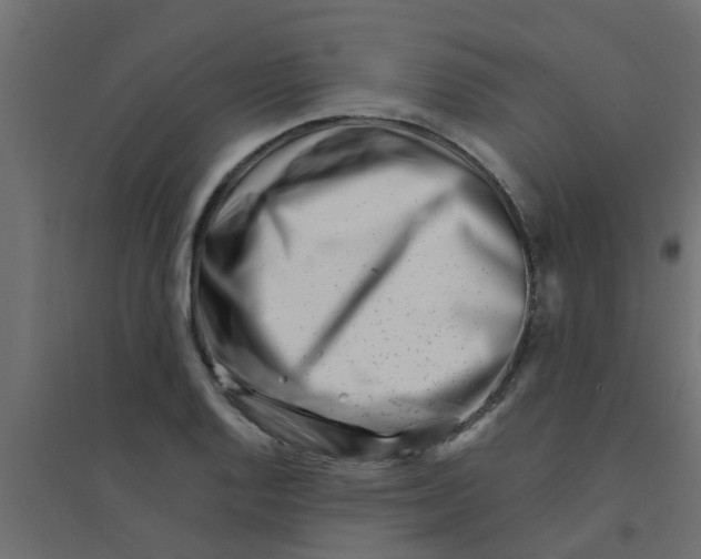 X0000094201128200711241631