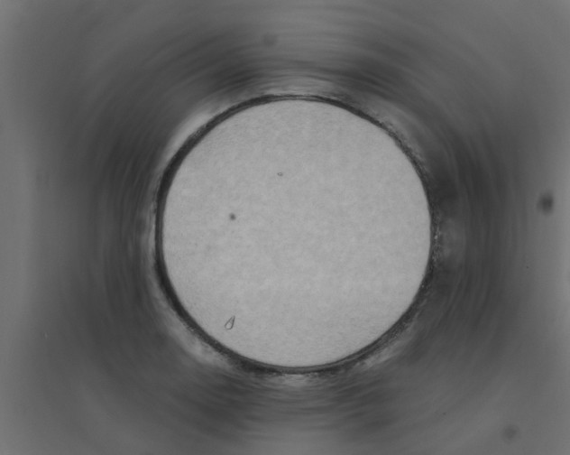 X0000094201130200711241631